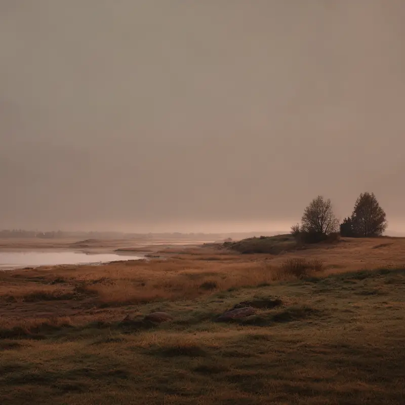 A marsh and distant trees under an overcast sky