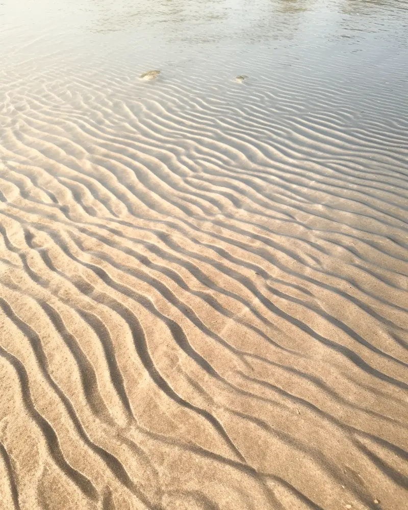 Ripples in golden sand at the water's edge